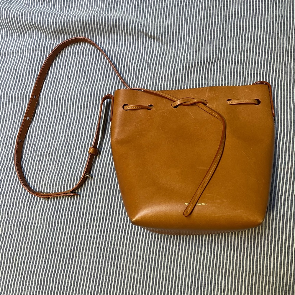 Mansur Gavriel mini bucket bag tan with pink lining